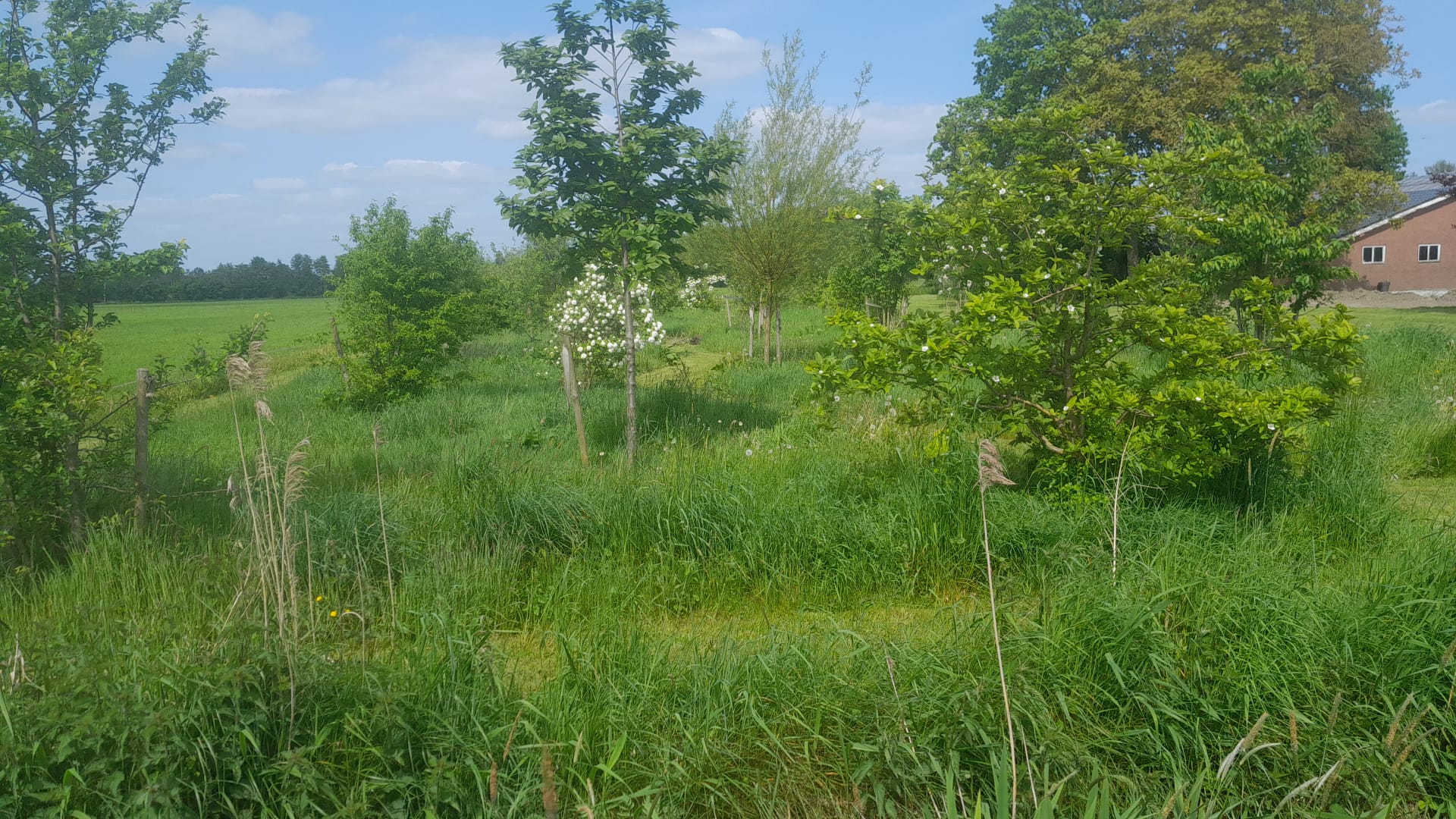 Project Lubbers opgeleverd