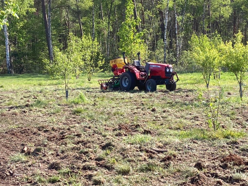 Vriendelijke bos ingezaaid met bloemrijke kruidenlaag