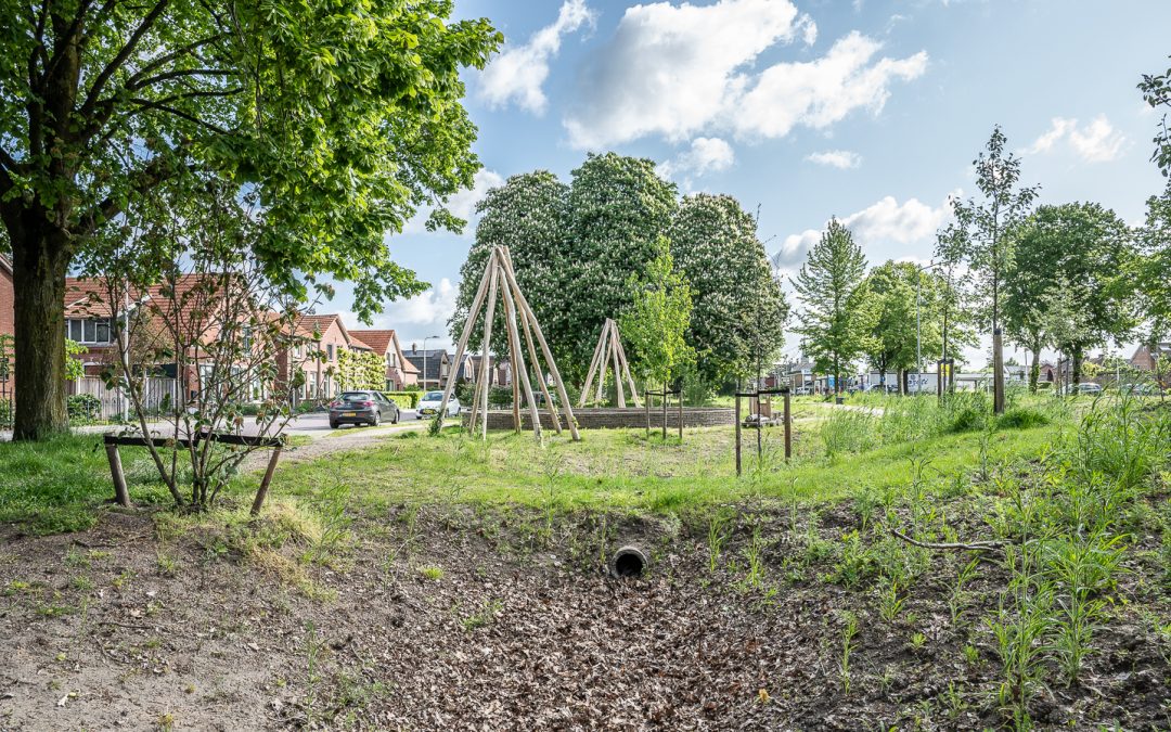 Waterbeheer staat centraal in Remisepark